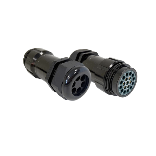P19-LFS-6