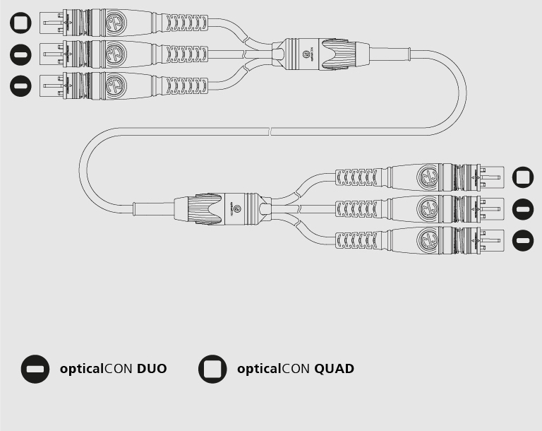 QDD-QDD