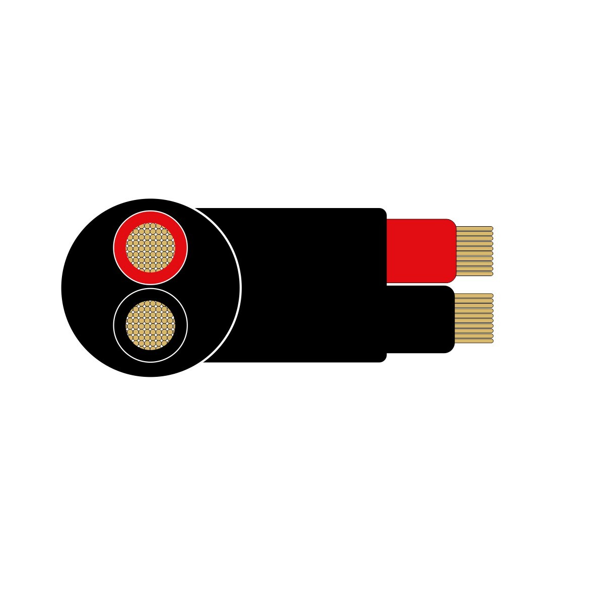 novacord_speakr_2x4
